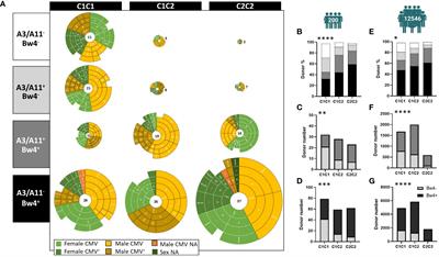 Multifactorial determinants of NK cell repertoire organization: insights into age, sex, KIR genotype, HLA typing, and CMV influence